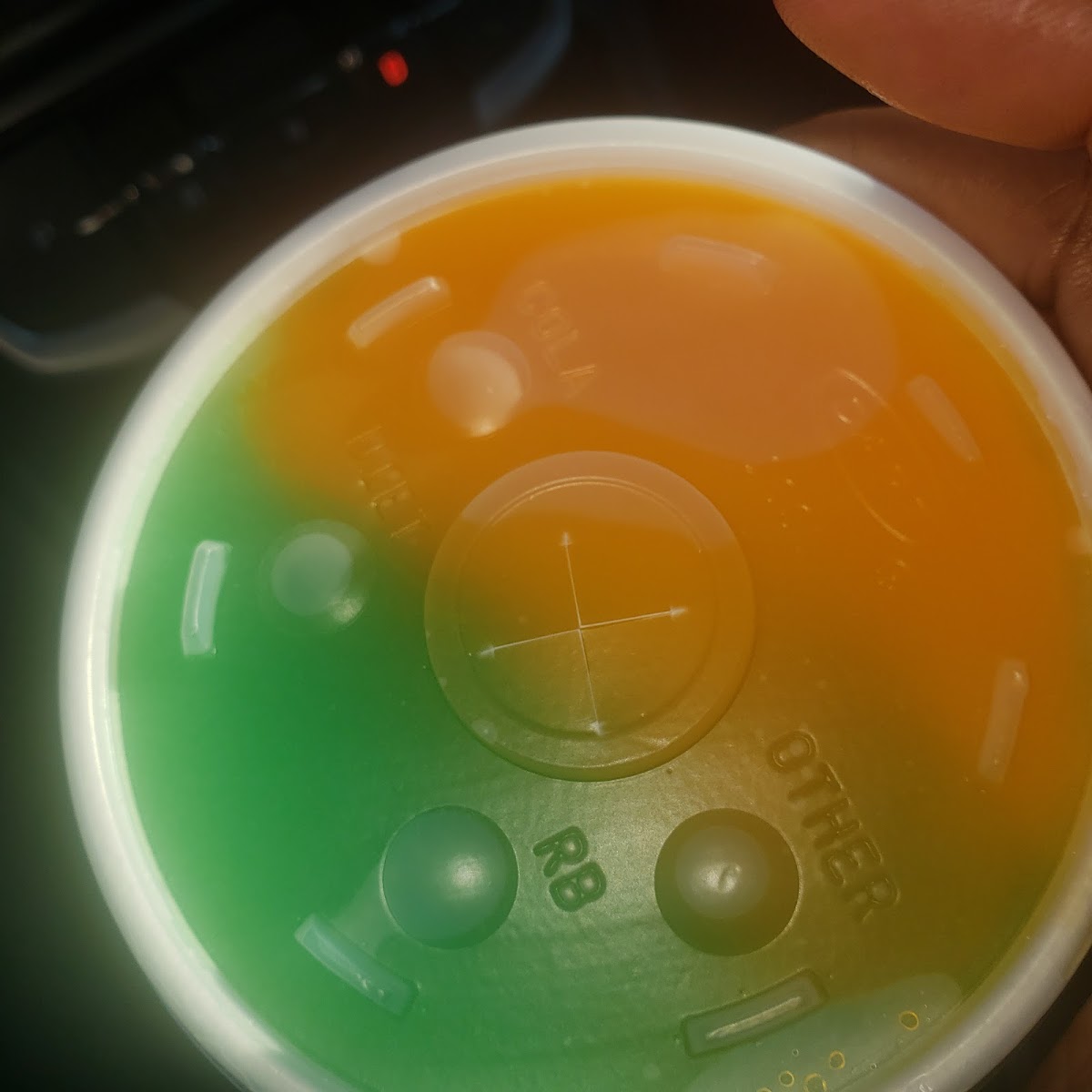 Delta Daiquiris-2